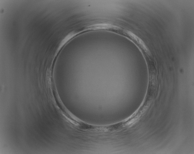 X0000051241473200506171058