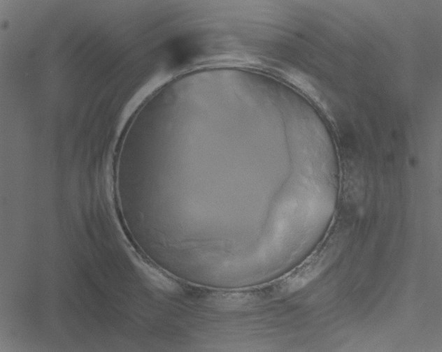 X0000051241474200506171058