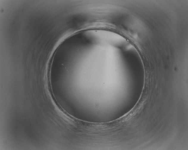 X0000051241475200506171058