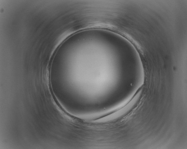 X0000051241476200506171058