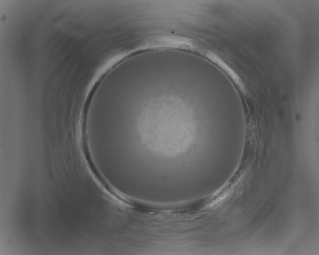 X0000051241477200506171058