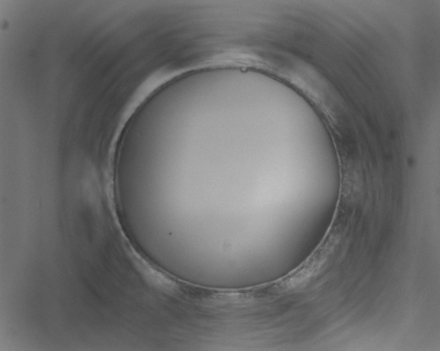 X0000051241478200506171058