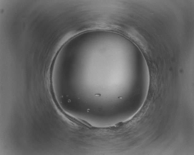 X0000051241479200506171058