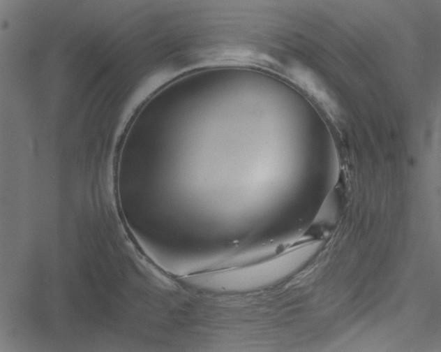 X0000051241480200506171058