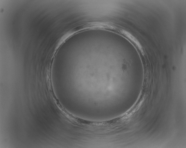 X0000051241481200506171058