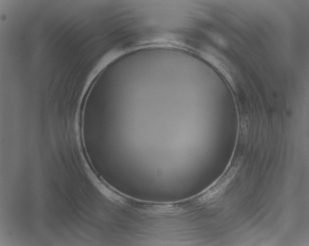 X0000051241482200506171057