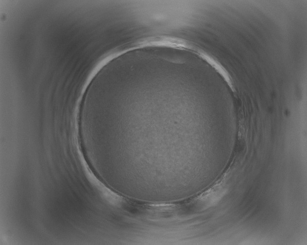 X0000051241483200506171057