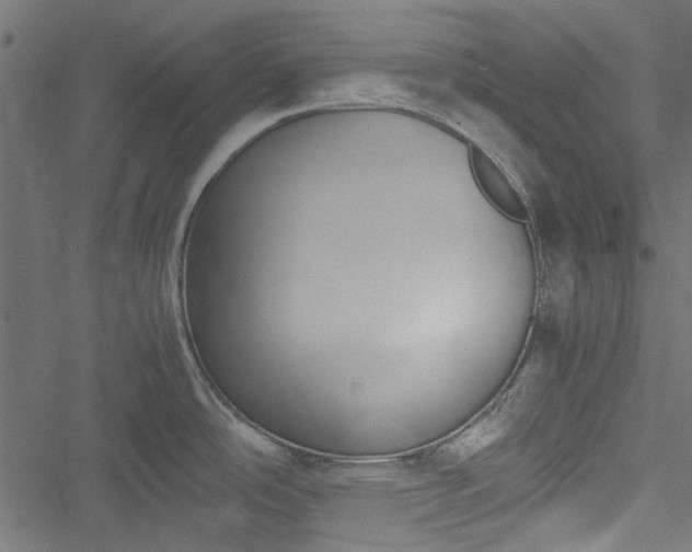 X0000051241486200506171057