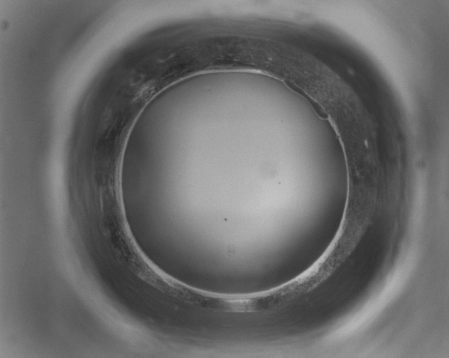 X0000051241487200506171057