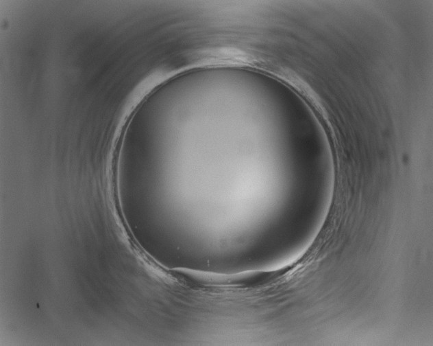 X0000051241488200506171057