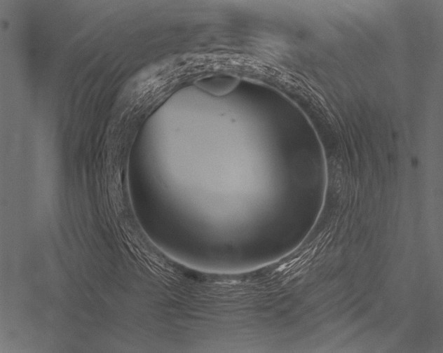 X0000051241489200506171057