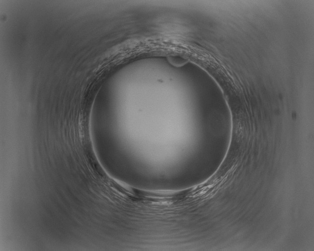 X0000051241490200506171057