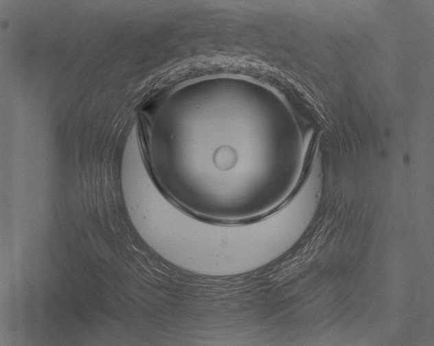 X0000051241492200506171057