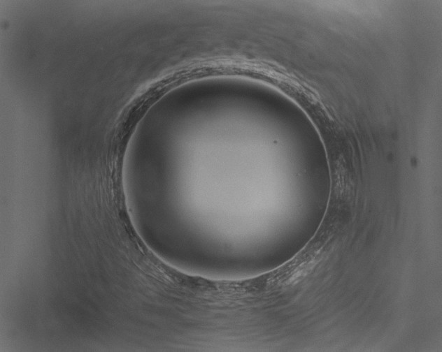 X0000051241494200506171057