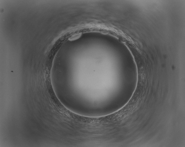 X0000051241495200506171057