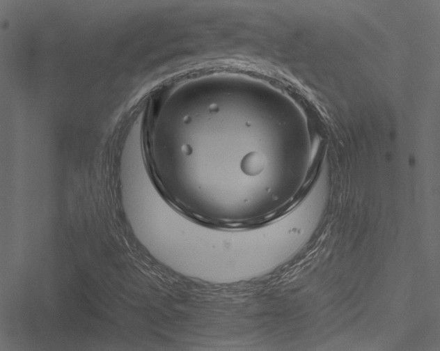 X0000051241496200506171057