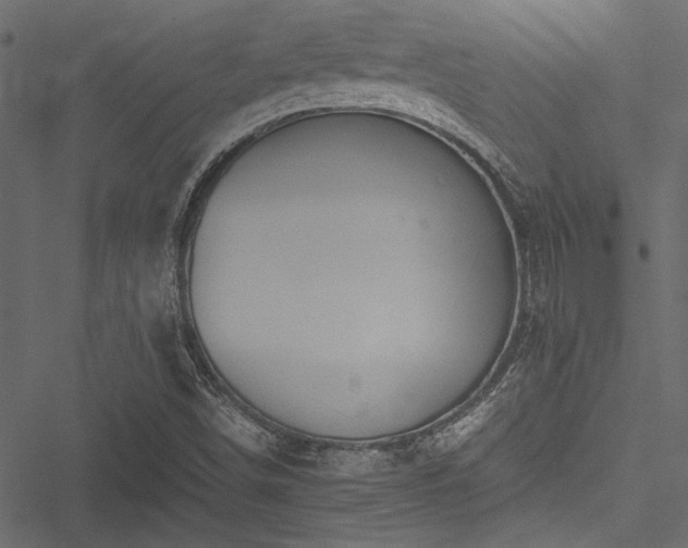 X0000051241498200506171057