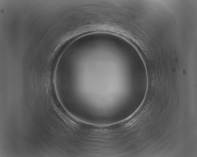 X0000051241499200506171057