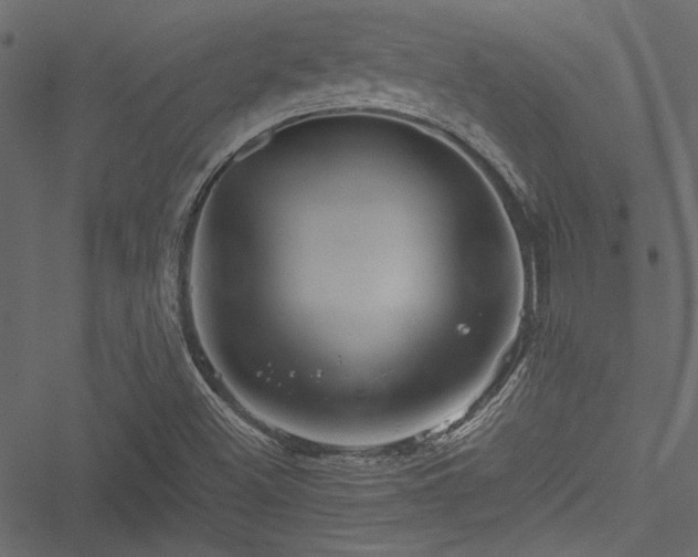 X0000051241500200506171057