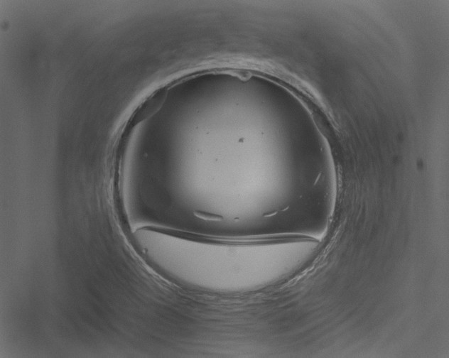 X0000051241504200506171057