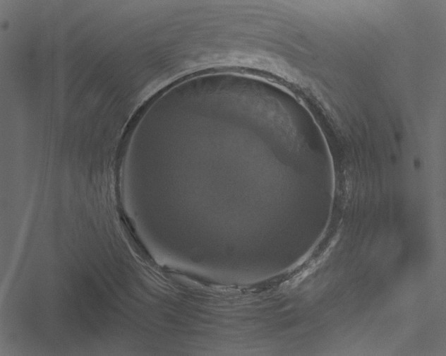 X0000051241505200506171057