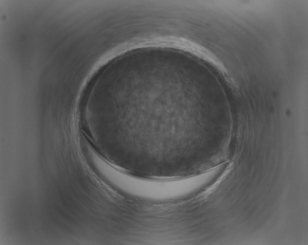 X0000051241506200506171057