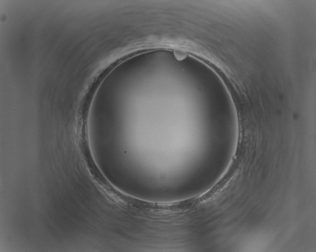 X0000051241507200506171057