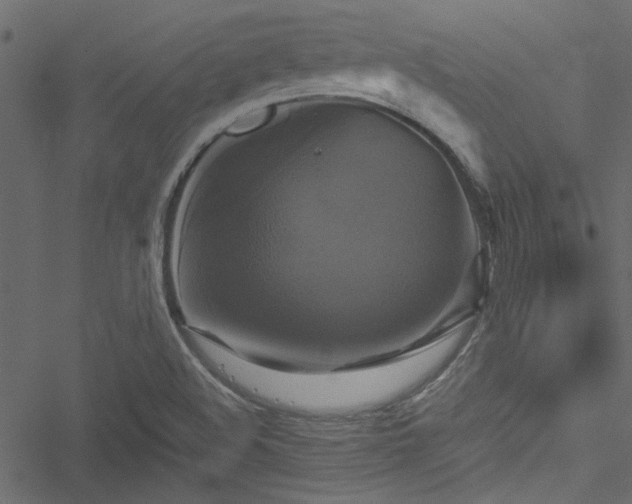 X0000051241508200506171057