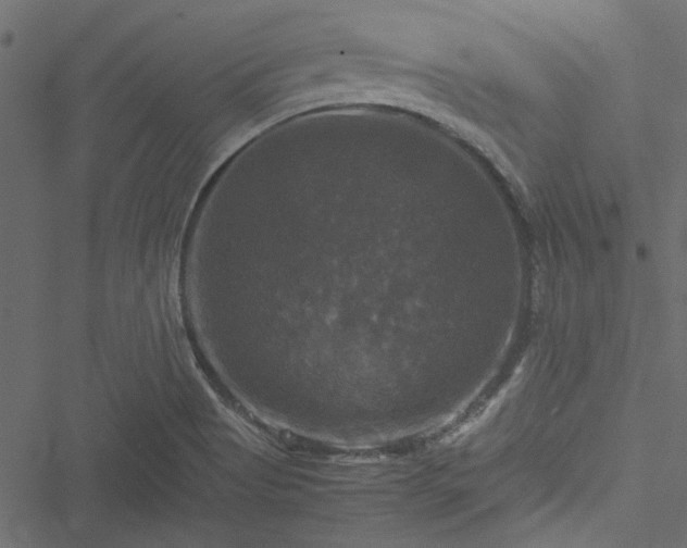 X0000051241513200506171057