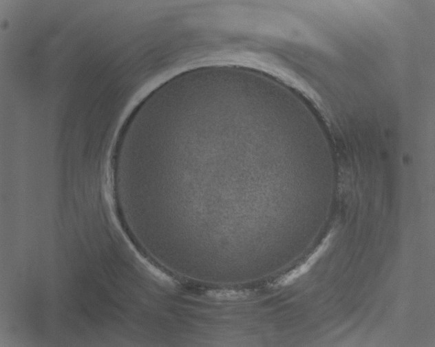 X0000051241517200506171057