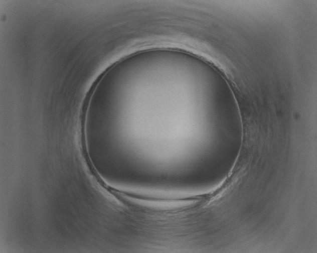 X0000051241518200506171057