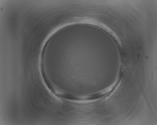 X0000051241520200506171057