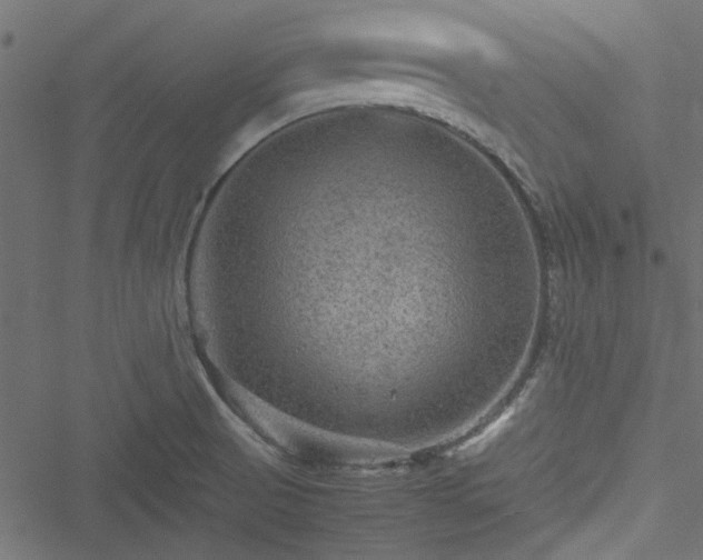 X0000051241521200506171057