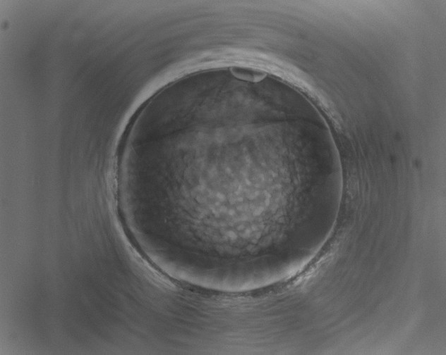 X0000051241522200506171057