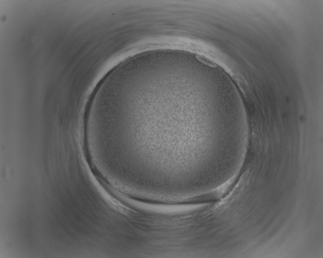 X0000051241523200506171057