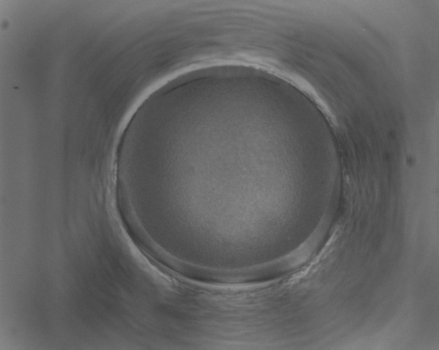 X0000051241524200506171057