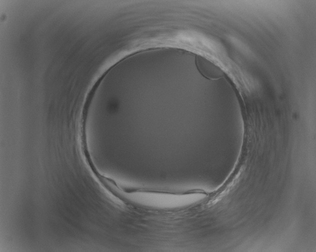 X0000051241525200506171057