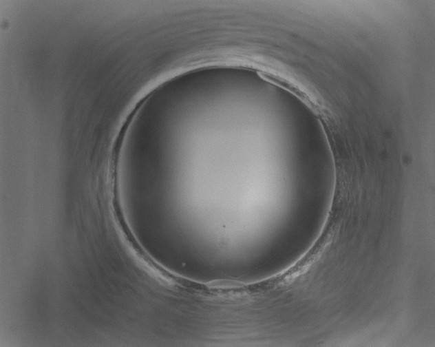 X0000051241526200506171057