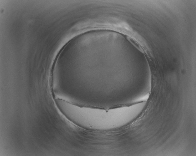 X0000051241527200506171057