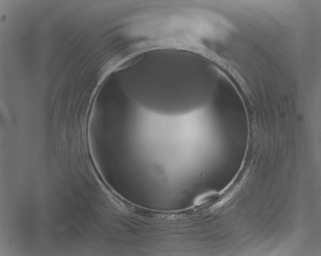 X0000051241529200506171057