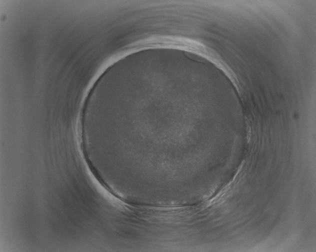 X0000051241531200506171057