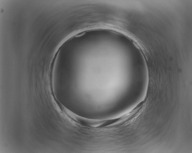 X0000051241534200506171057