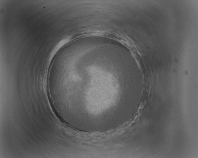 X0000051240003200506241533