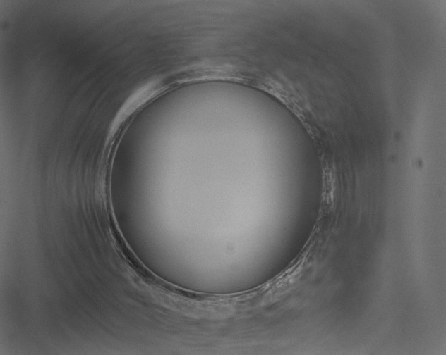 X0000051240004200506241533