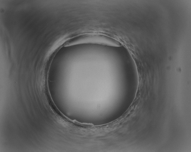 X0000051240005200506241533