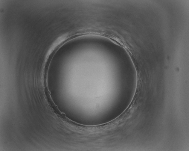 X0000051240006200506241533