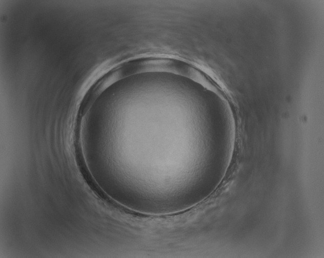 X0000051240007200506241533