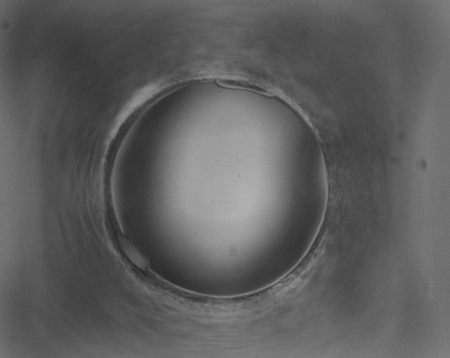 X0000051240008200506241533