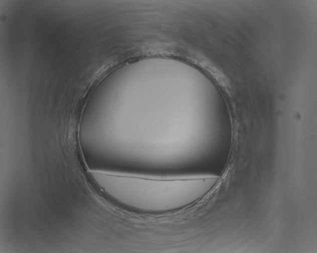 X0000051240009200506241533