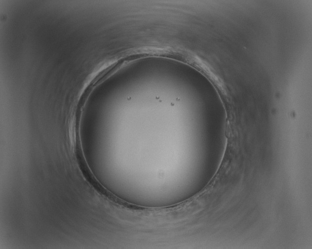 X0000051240011200506241533